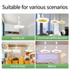 Ceiling Fan with Lighting Lamp Converter Base with Remote Control Ceiling Fan Lamp for Bedroom Living Home Silent 3 Speed