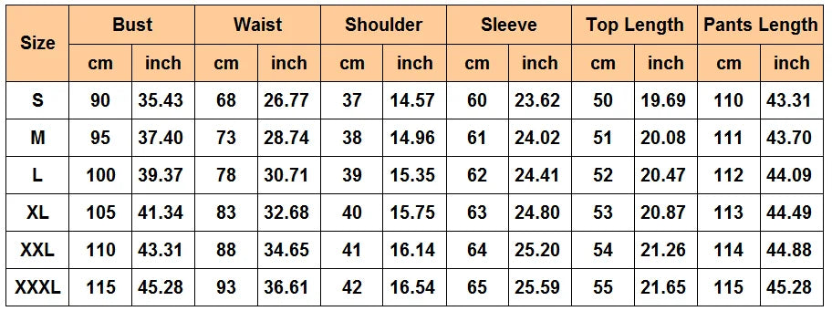 2 Piece Women Set Summer Autumn Long Sleeve Shirt Blouse Top And Pants Suits Outfits Fashion Office Lady Matching Sets Outfit