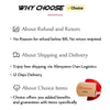 Fashion Gold Color Rhinestone Choker Necklaces for Women Geometric Crystal Necklaces Weddings Jewelry Party Gifts