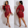 Sexy Perlen Strass Partykleider Damen Eleganz Nachtclub Feder Geburtstagskleid Langarm Mesh Sheer Bodycon Minikleid