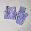 2er-Set Sport-BH für Damen, professionelles Fitness-Tanktop, stoßfester Lauf-Leggings-Yoga-Anzug, schöner Rücken-BH-Bekleidung
