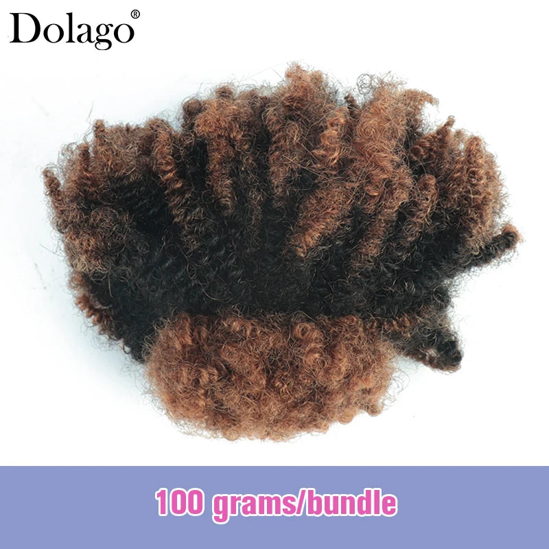 Menschliches Flechthaar Afro Kinky Lockiges Haar Haarverlängerungen Microlocs Lose Haare zum Flechten Ombré-Farbe Braun Crochet Braids 4C