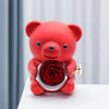 Valentinstag Rose Hug Bär Schmuckkästchen Echte Ewige Rosen Geschenke für Freundin Frauen Ehefrau Muttertag Geburtstag Jahrestag