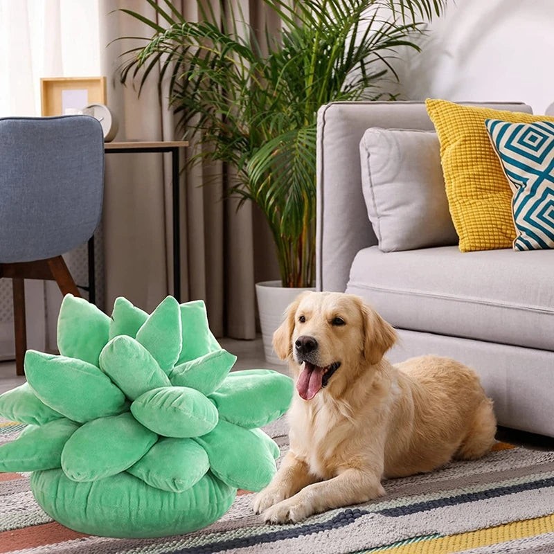 Inyahome 3D Sukkulenten-Kissen Kaktus Plüsch Blumenpflanze Geformtes Kissen für Wohnzimmer-Dekoration Neuartige Dekoration Pflanzen-Deko