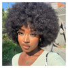 Afro Fluffy Curly Human Hair Wigs 70S Jerry Curl Wig One Wig Two Stlyes Glueless Wig Puffy Bouncy Wig Bouncy Wet and Dry Styling - MAGUSTA BEAUTY