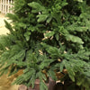 Full PE Artificial Large Christmas Tree PE Material Christmas Tree Home Party Atmosphere Xmas Decorations 1.2m to 2.1m navidad - MAGUSTA BEAUTY