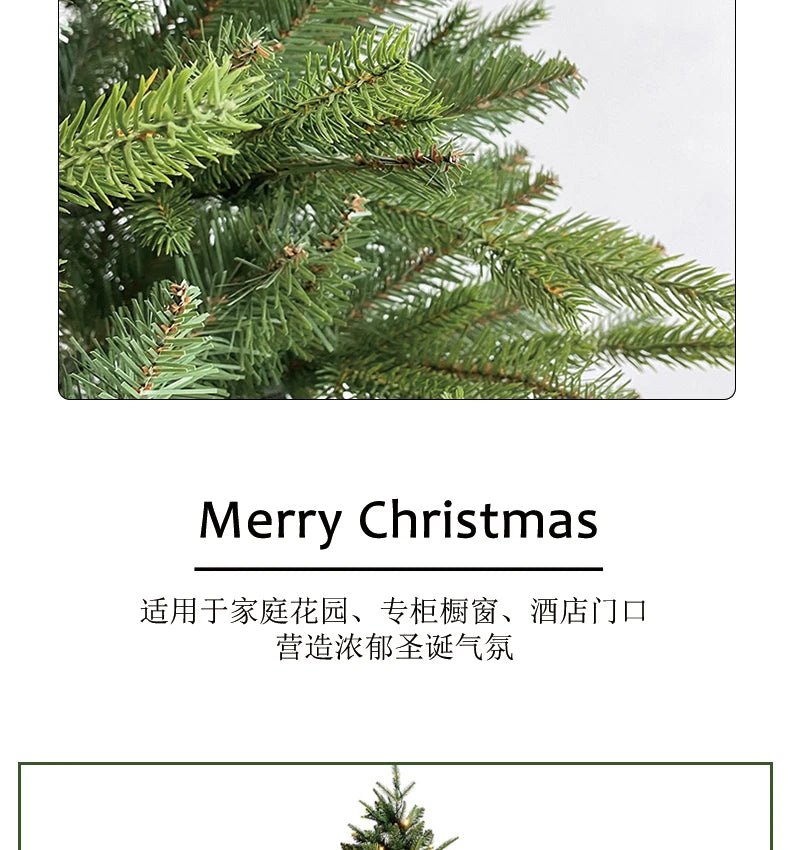 Gift Christmas Decoration High end PE Mixed Christmas Tree Encryption 1.2m 1.8m Christmas Tree - MAGUSTA BEAUTY