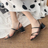 Women High Heel Sandals Summer Casual Female Shoes Woman Square Heel Open Toe Ankle Strap Ladies Sandalias Wedge Shoe 2022 New - MAGUSTA BEAUTY